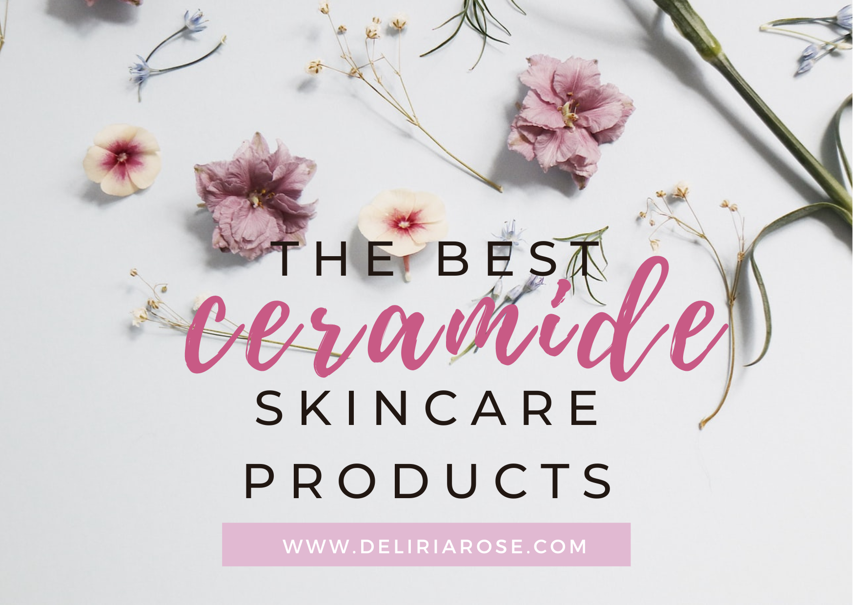 The Best Ceramide Skincare Products